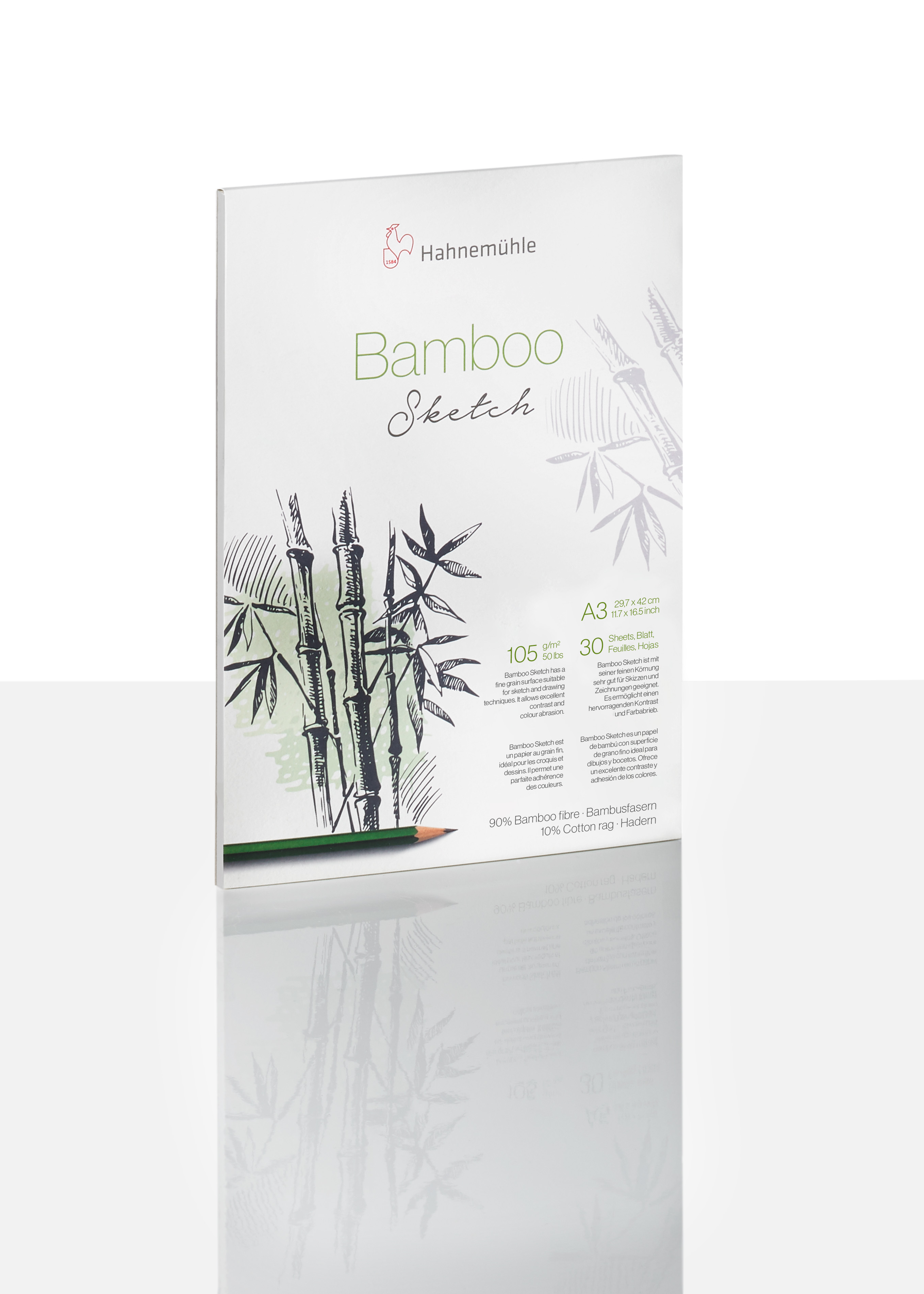 Bamboo Sketch