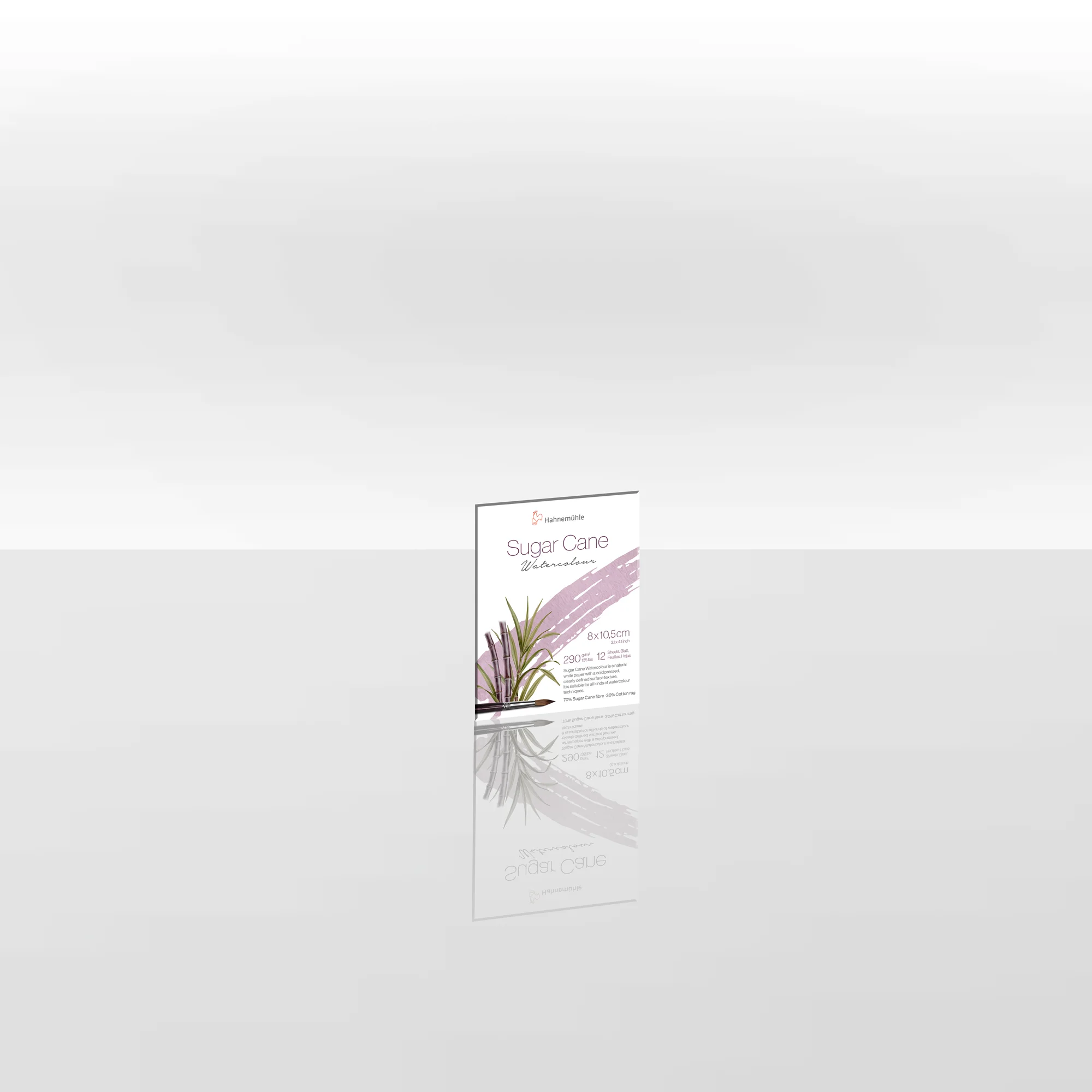 poster, brochure, sugar cane, plant illustration, print design