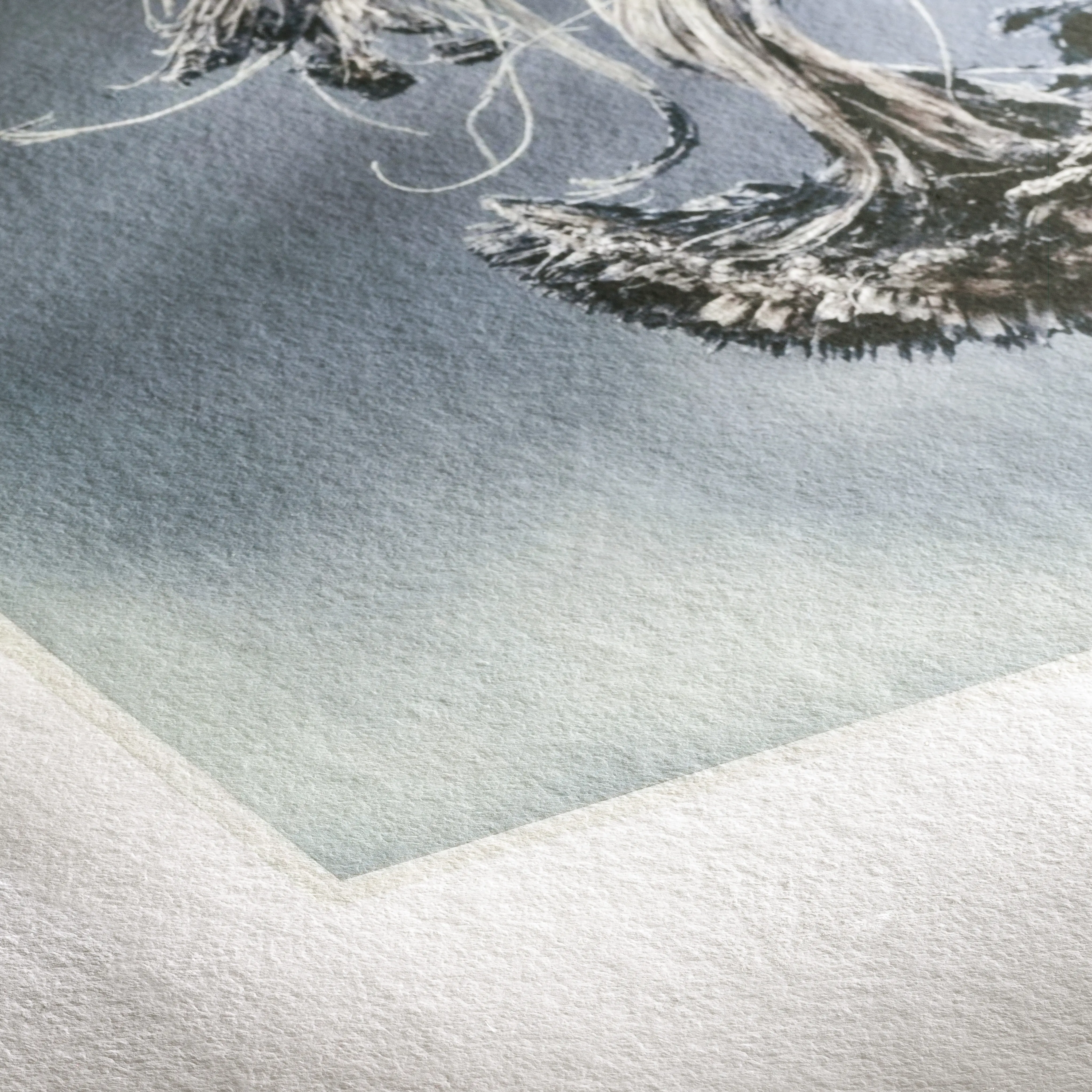 feather, plume, blue-gray, art print, texture