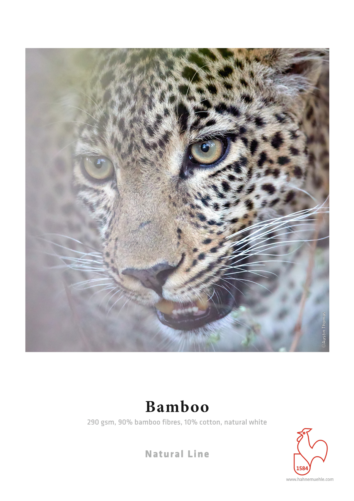 Hahnemühle Bamboo Inkjet Paper Sheets - 290gsm - A3