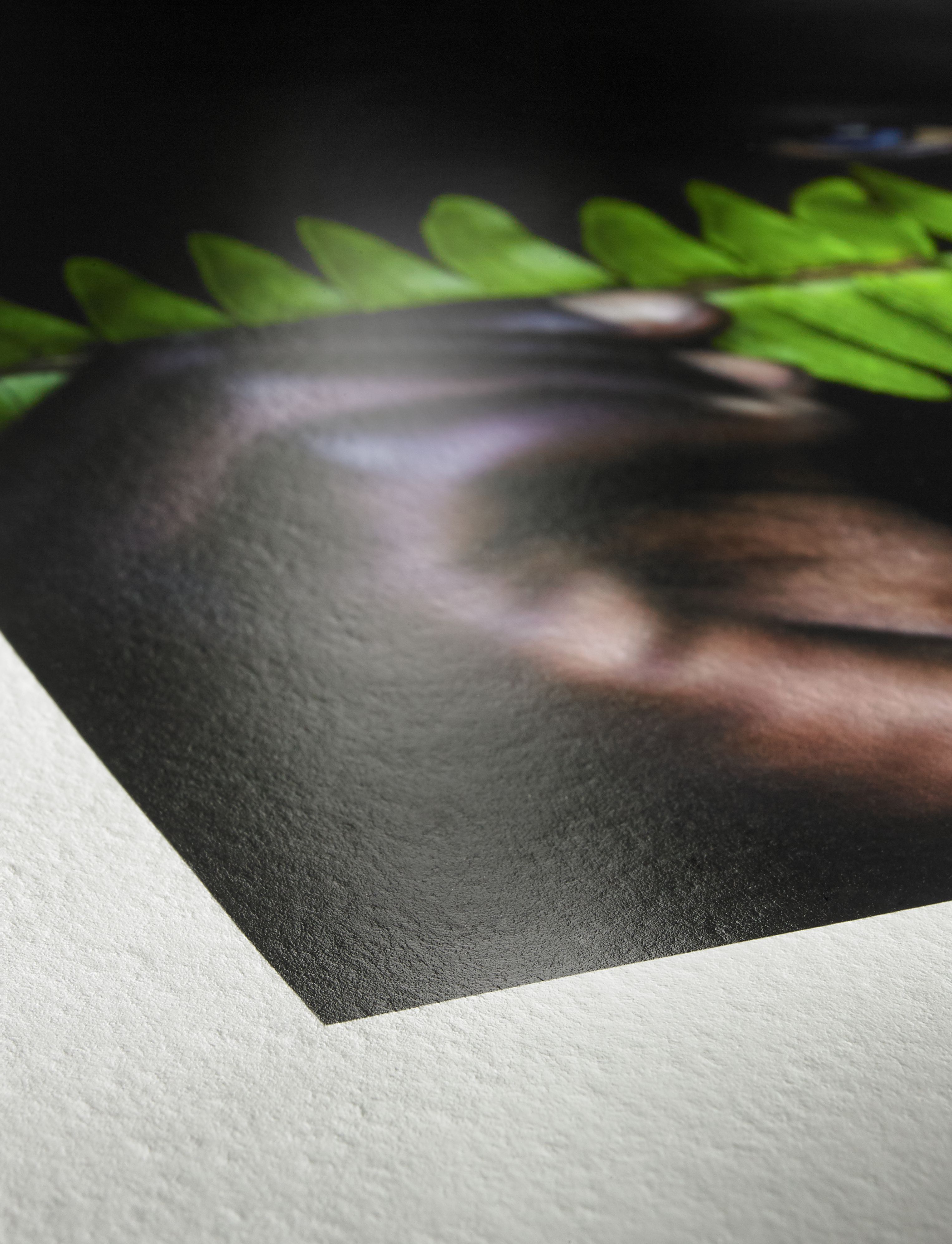 Photo Rag® Pearl Photo Rag® Pearl