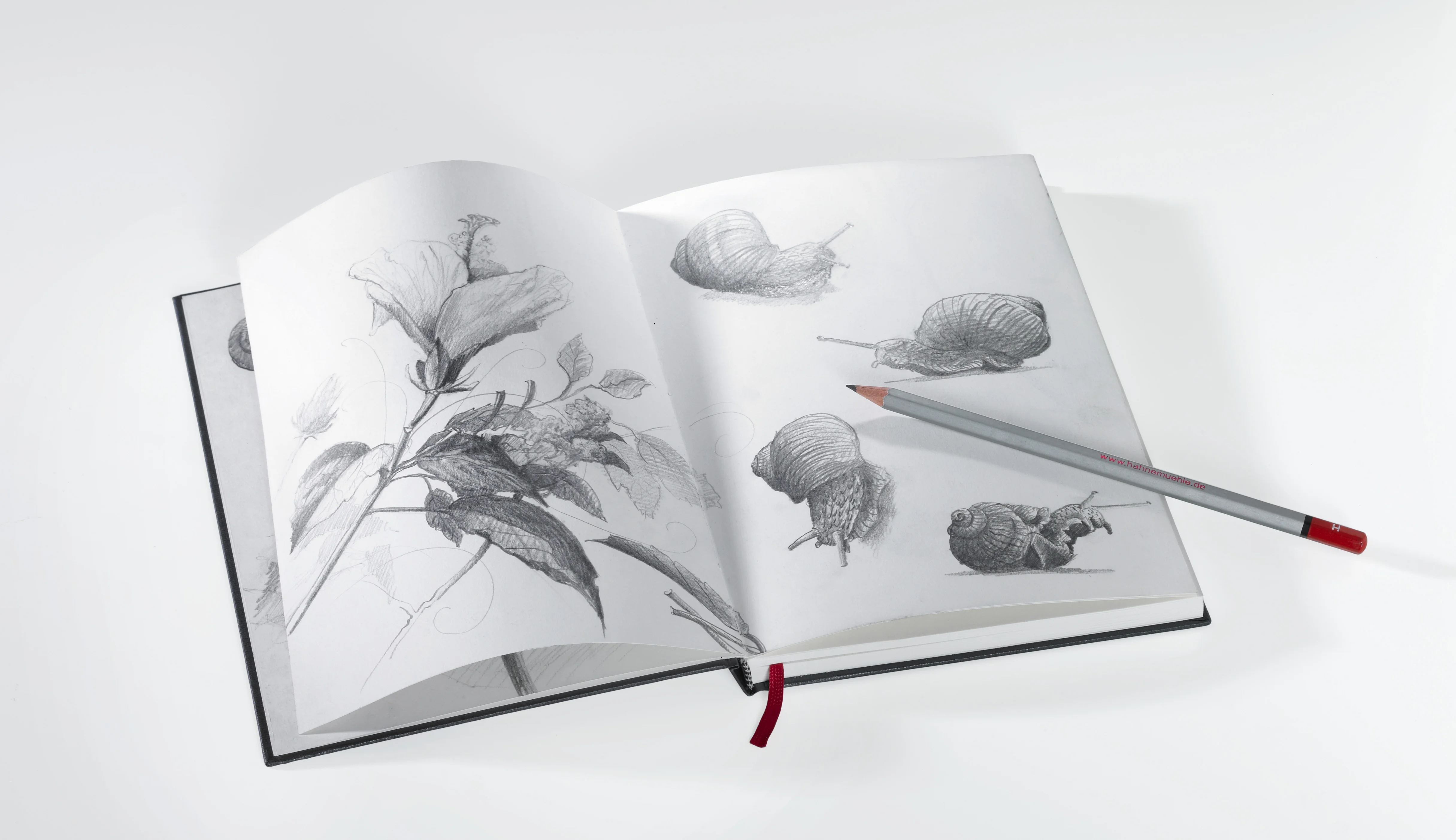 sketchbook, pencil drawing, flowers, snails, open notebook