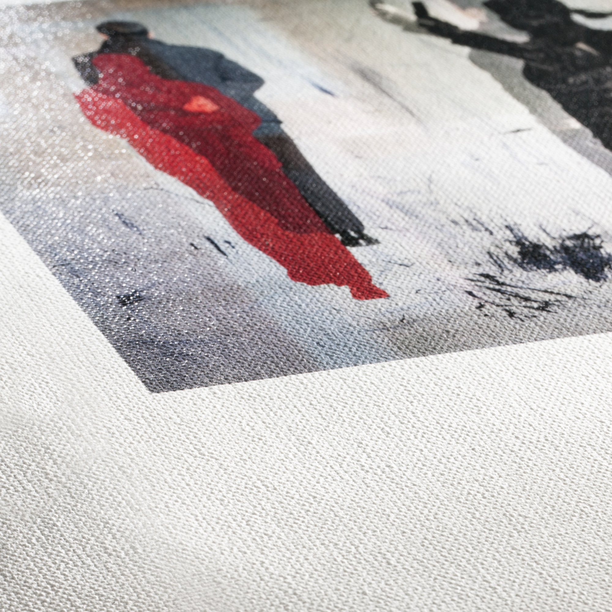 Goya Canvas Goya Canvas