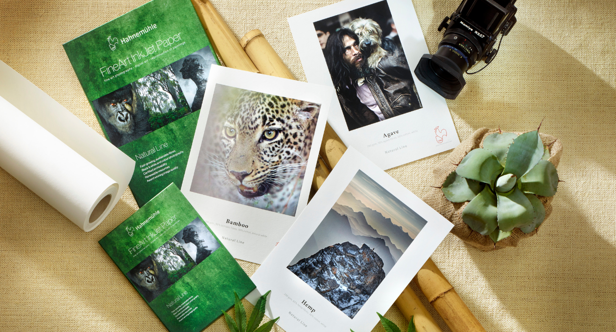 Natural Line boxes and printed sample sheets