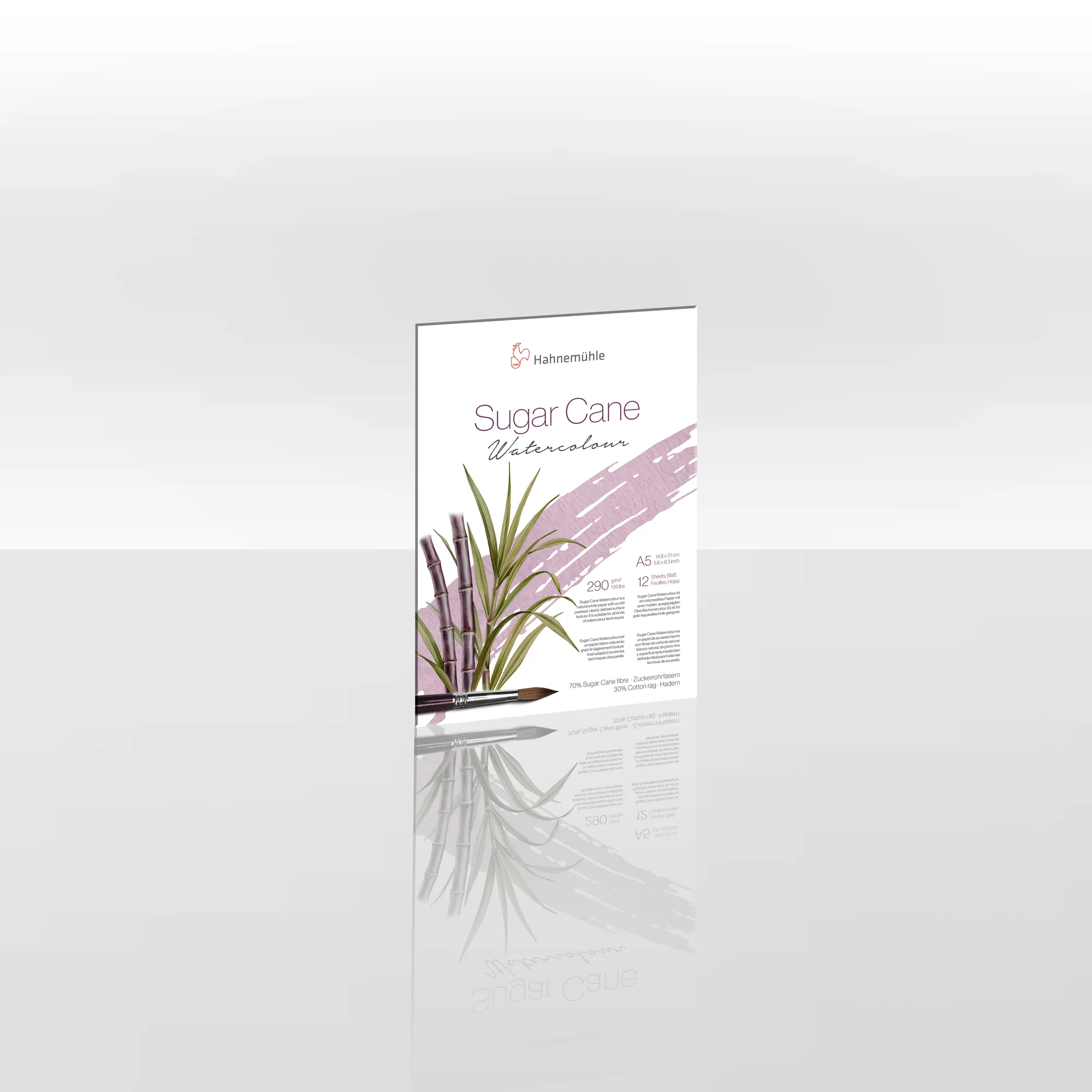sugar cane, watercolor, brochure, plant, brush stroke