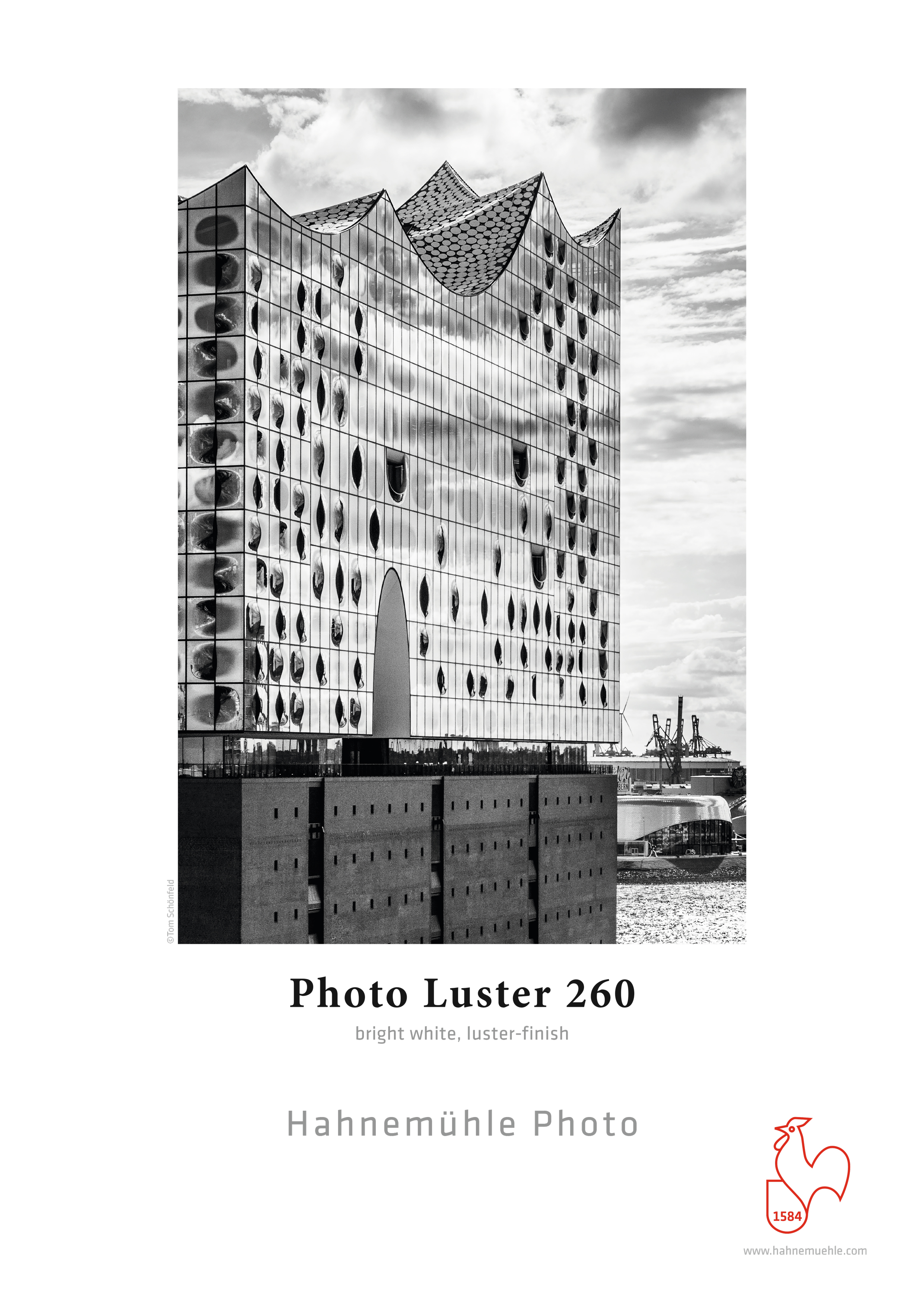 Detail of the Elbphilharmonie on Photo Luster 260