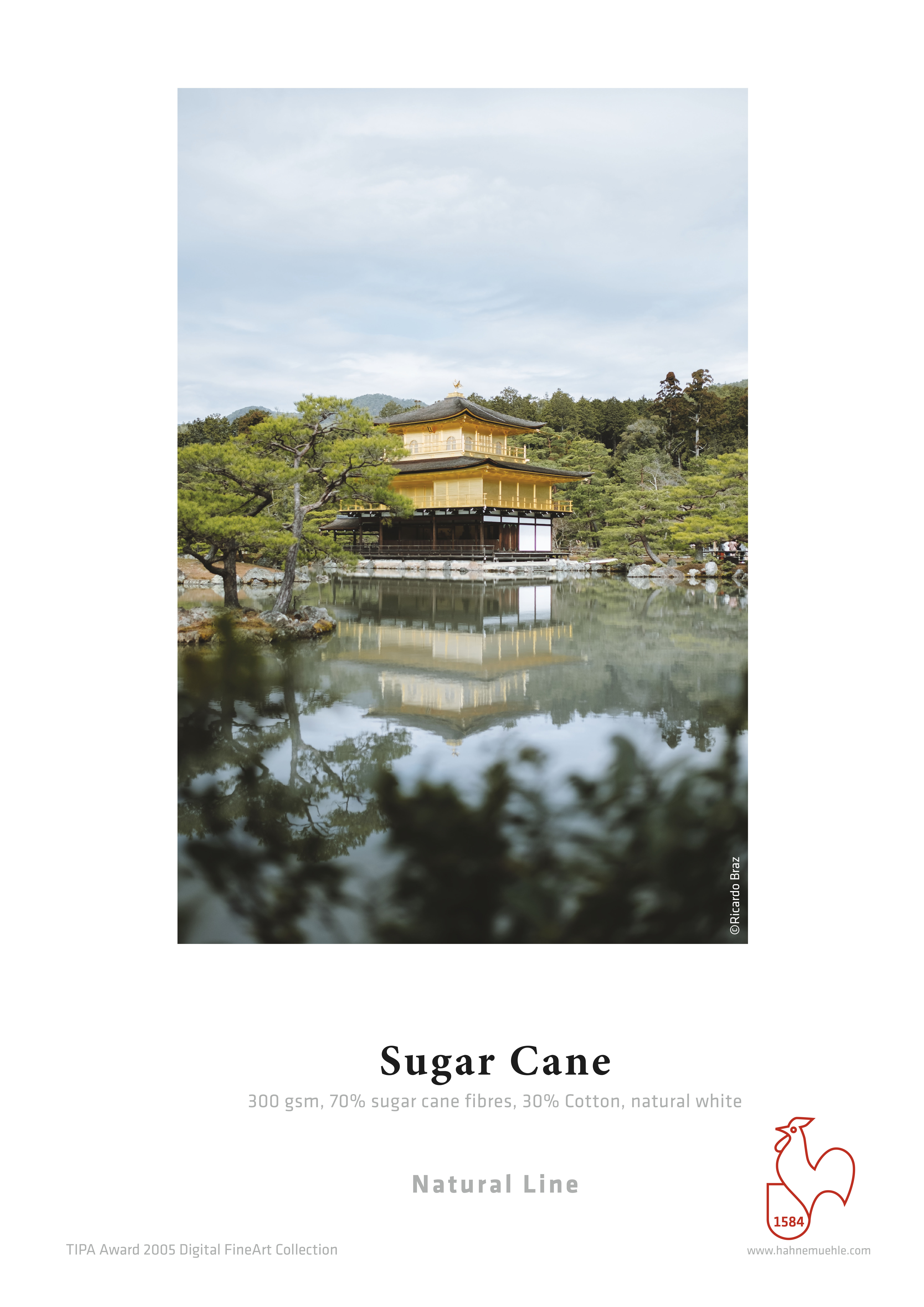 Sample print of Sugar Cane. Printed photo with lake house