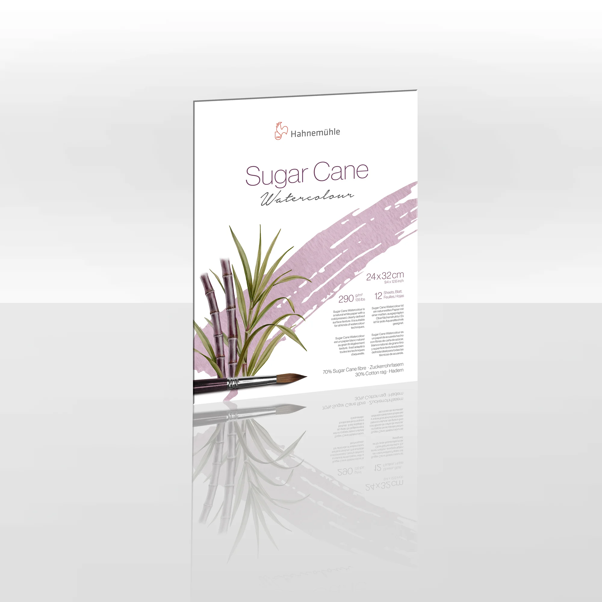 poster, watercolor, sugar cane, brush, plant artwork