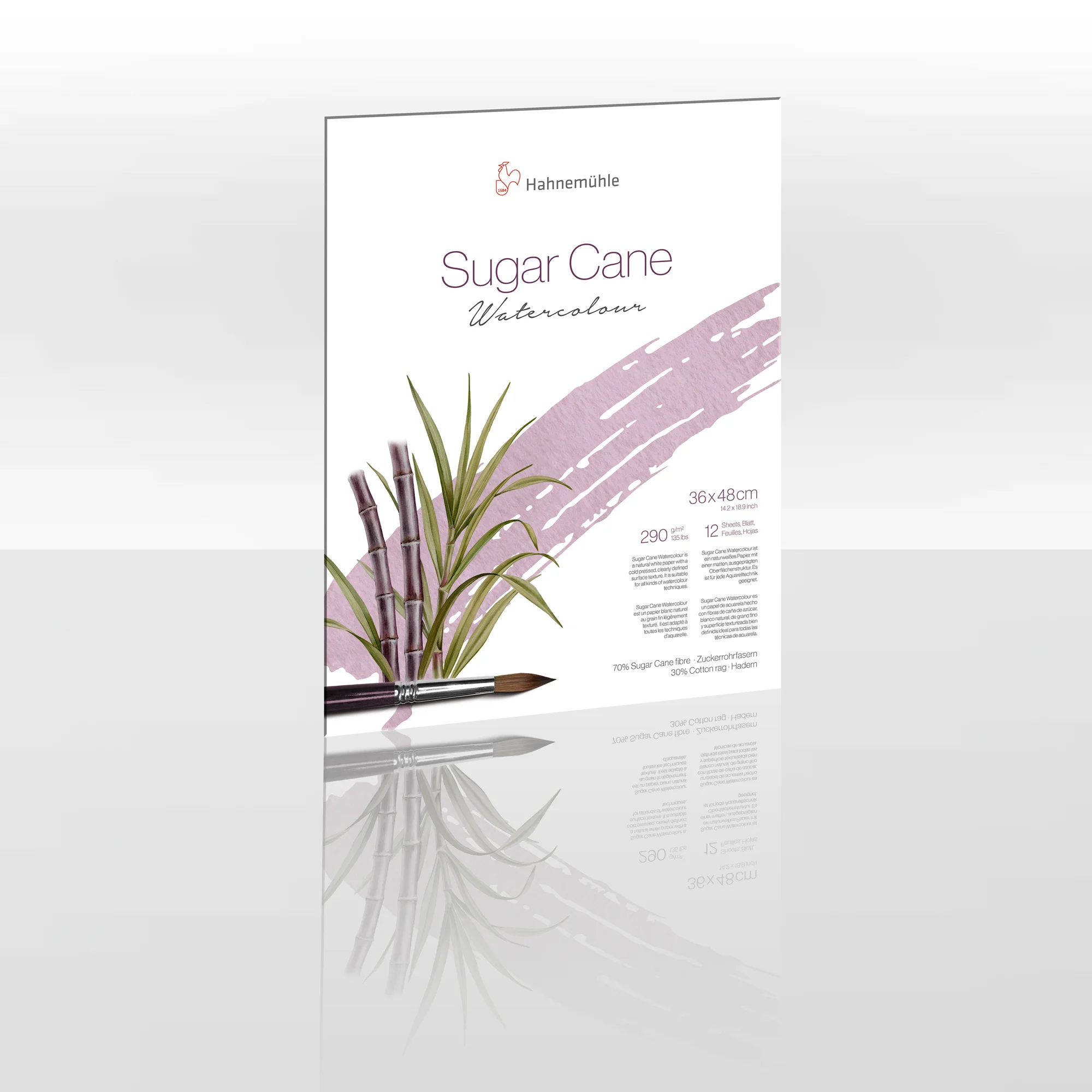 poster, art print, watercolor, sugar cane, brush