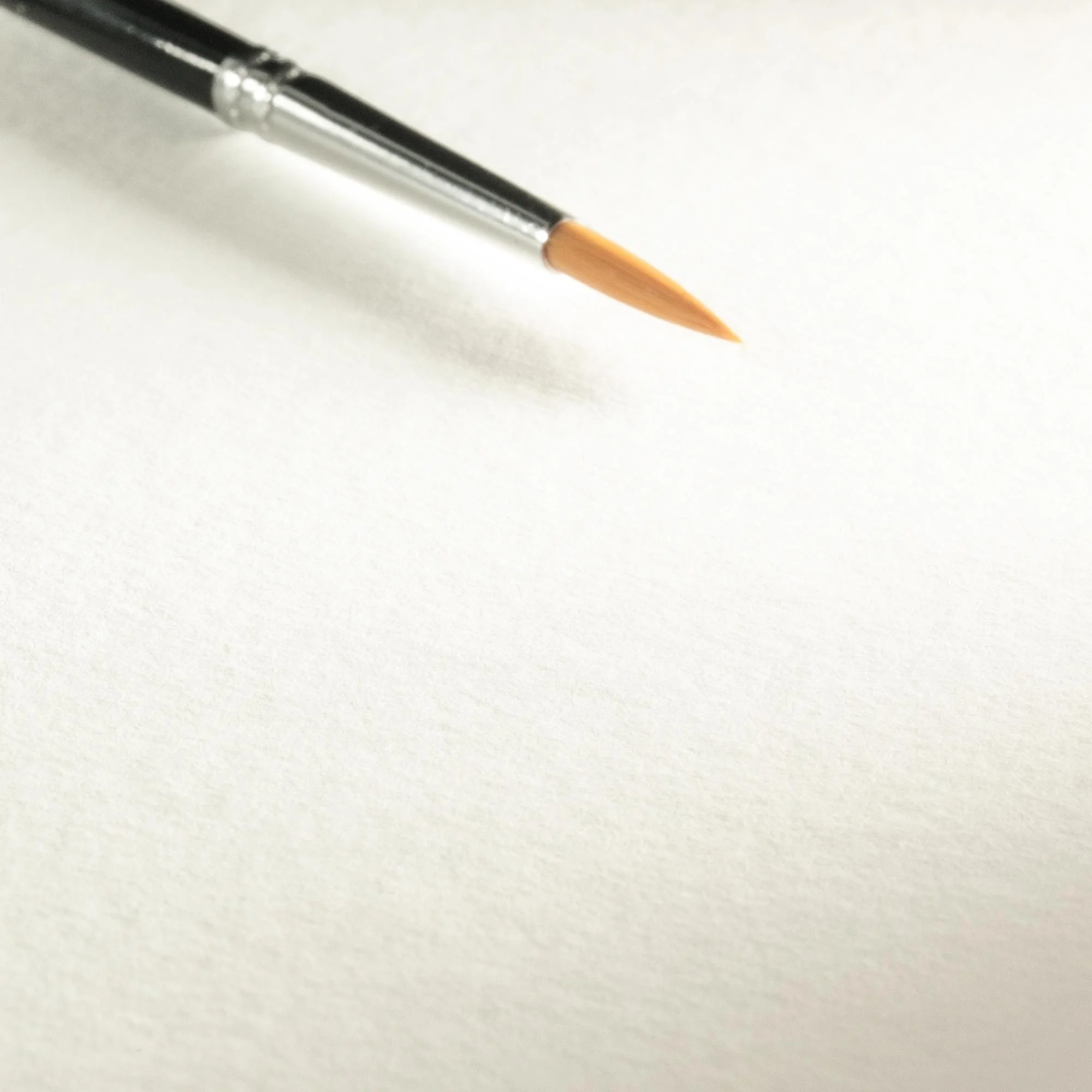 art brush, paint brush, orange tip, studio accessory, flat brush
