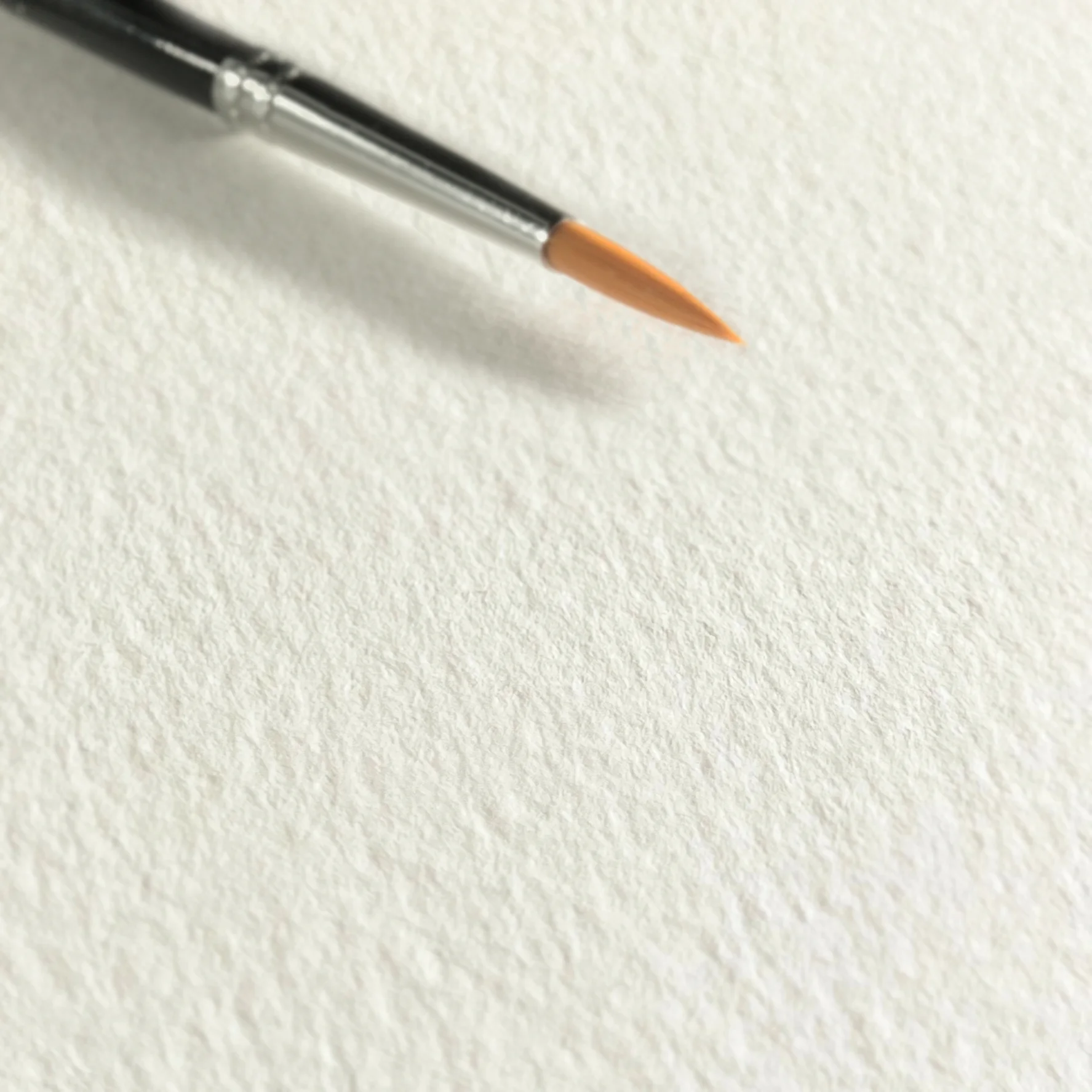 paintbrush, art supplies, pointed tip, orange bristle, metal ferrule