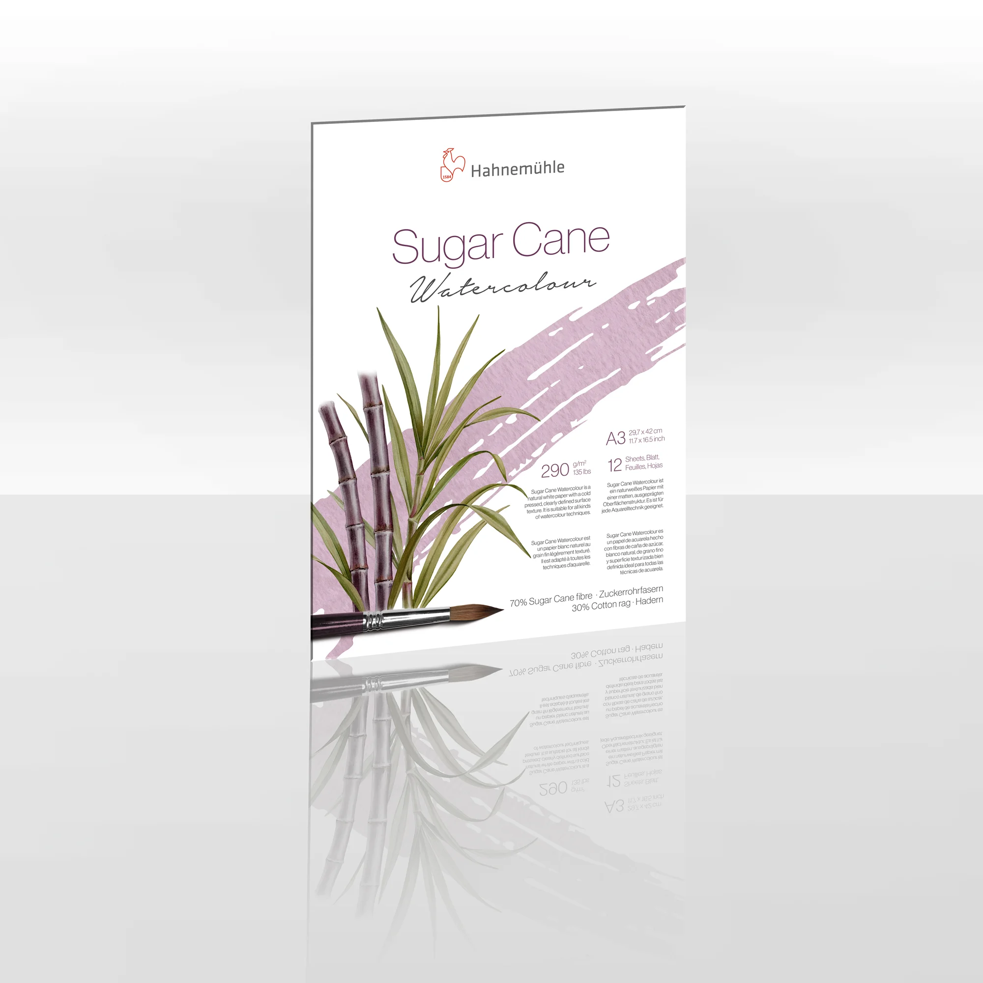 poster, art print, watercolor, sugar cane, brush